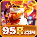 95rviporg