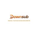 downsubinfo
