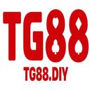 tg88diyvn