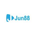 ju88blucom